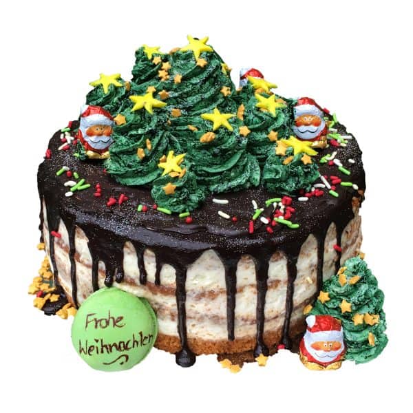 Weihnachtstorte "Tannenbäume" mit Schokoüberzug