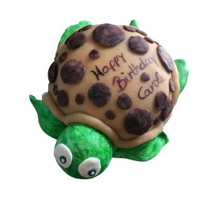 Torte 3D Figur - Schildkröte