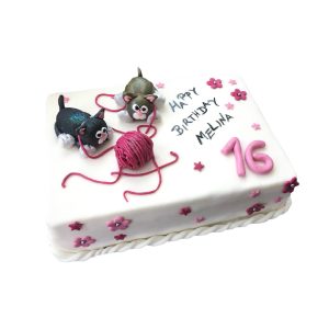 Torte Kindergeburtstag Katzen mit Wollkneul