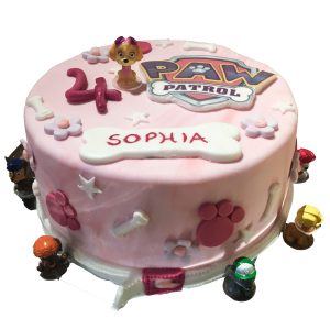 Torte Kindergeburtstag PAW Patrol mit Hund und Knochen